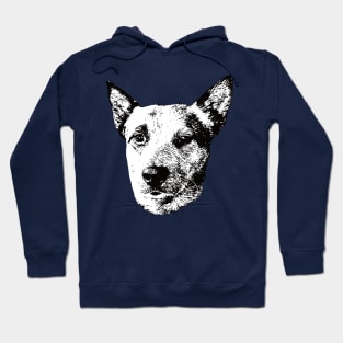 Australian Cattle Dog - Cattle Dog Christmas Gifts Hoodie